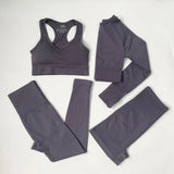 High Waist Elastic Seamless Yoga Wear Women Fitness Clothes Gym Clothing Workout Set Long Sleeve Crop Top Leggings Sports Suit - Mein Shop