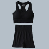 High Waist Elastic Seamless Yoga Wear Women Fitness Clothes Gym Clothing Workout Set Long Sleeve Crop Top Leggings Sports Suit - Mein Shop