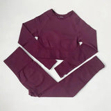 High Waist Elastic Seamless Yoga Wear Women Fitness Clothes Gym Clothing Workout Set Long Sleeve Crop Top Leggings Sports Suit - Mein Shop