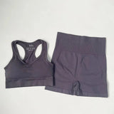 High Waist Elastic Seamless Yoga Wear Women Fitness Clothes Gym Clothing Workout Set Long Sleeve Crop Top Leggings Sports Suit - Mein Shop