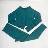 High Waist Elastic Seamless Yoga Wear Women Fitness Clothes Gym Clothing Workout Set Long Sleeve Crop Top Leggings Sports Suit - Mein Shop