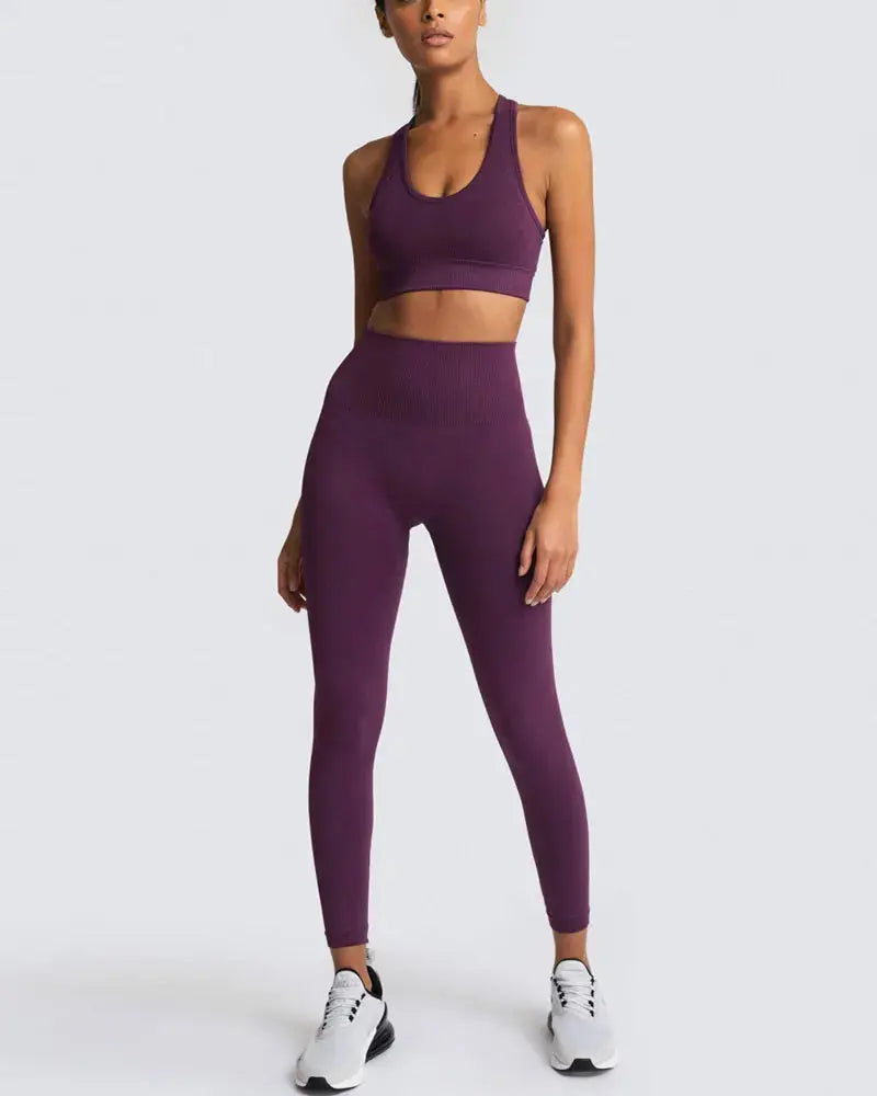 High Waist Elastic Seamless Yoga Wear Women Fitness Clothes Gym Clothing Workout Set Long Sleeve Crop Top Leggings Sports Suit - Mein Shop