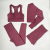 High Waist Elastic Seamless Yoga Wear Women Fitness Clothes Gym Clothing Workout Set Long Sleeve Crop Top Leggings Sports Suit - Mein Shop