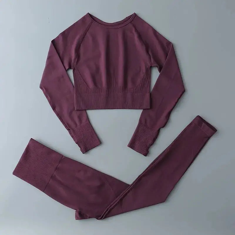 High Waist Elastic Seamless Yoga Wear Women Fitness Clothes Gym Clothing Workout Set Long Sleeve Crop Top Leggings Sports Suit - Mein Shop