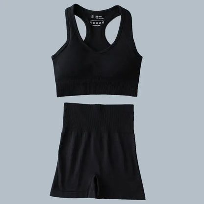 High Waist Elastic Seamless Yoga Wear Women Fitness Clothes Gym Clothing Workout Set Long Sleeve Crop Top Leggings Sports Suit - Mein Shop