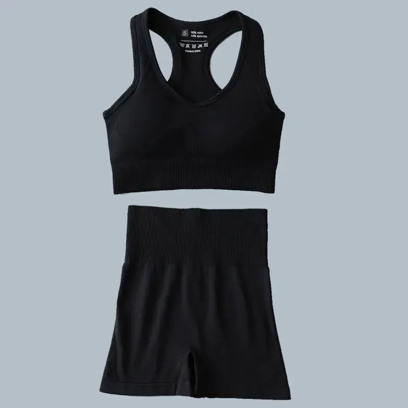 High Waist Elastic Seamless Yoga Wear Women Fitness Clothes Gym Clothing Workout Set Long Sleeve Crop Top Leggings Sports Suit - Mein Shop