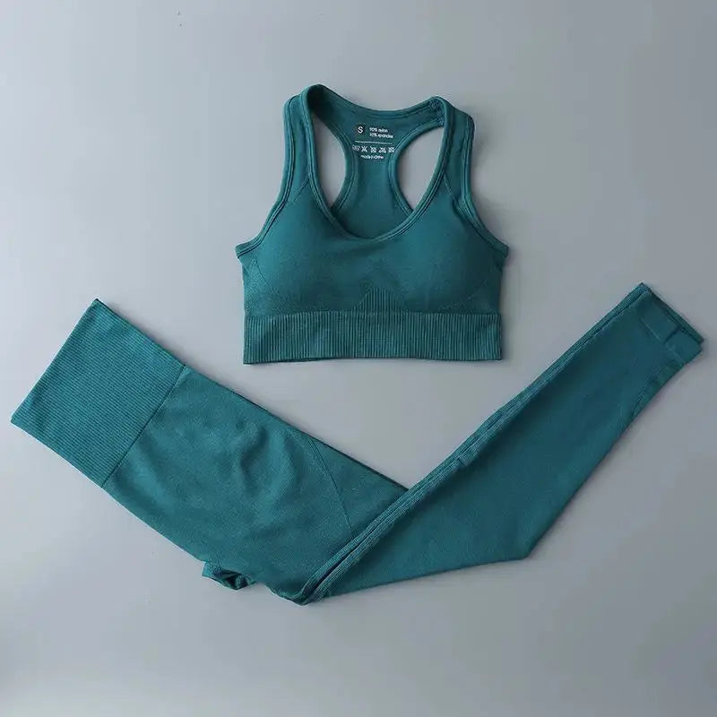 High Waist Elastic Seamless Yoga Wear Women Fitness Clothes Gym Clothing Workout Set Long Sleeve Crop Top Leggings Sports Suit - Mein Shop