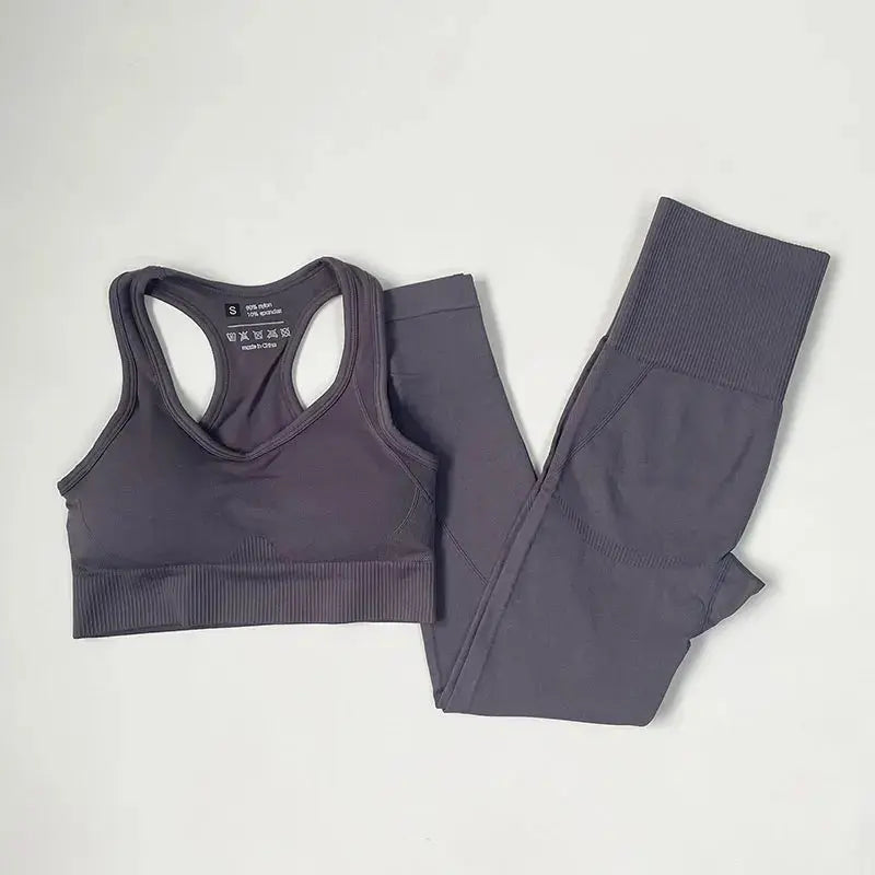High Waist Elastic Seamless Yoga Wear Women Fitness Clothes Gym Clothing Workout Set Long Sleeve Crop Top Leggings Sports Suit - Mein Shop