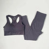 High Waist Elastic Seamless Yoga Wear Women Fitness Clothes Gym Clothing Workout Set Long Sleeve Crop Top Leggings Sports Suit - Mein Shop