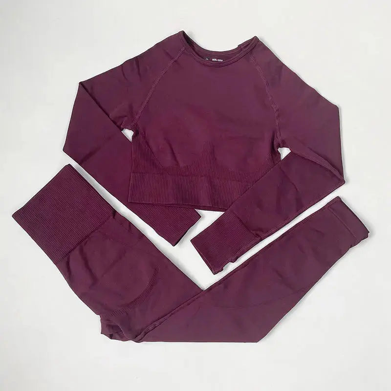 High Waist Elastic Seamless Yoga Wear Women Fitness Clothes Gym Clothing Workout Set Long Sleeve Crop Top Leggings Sports Suit - Mein Shop