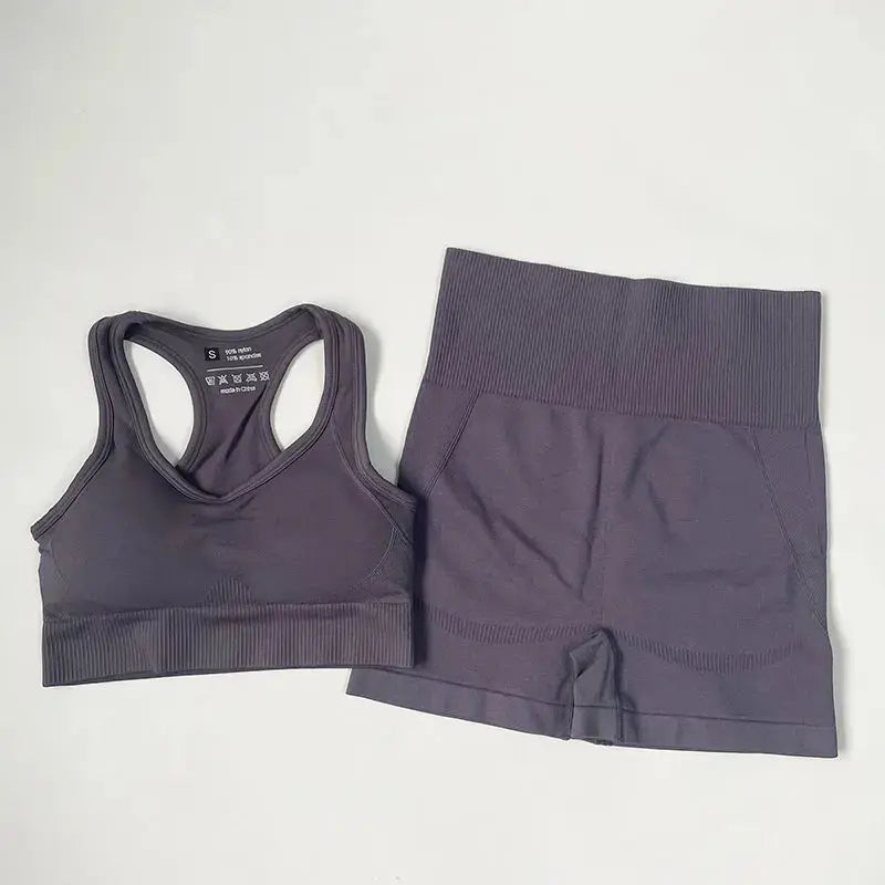 High Waist Elastic Seamless Yoga Wear Women Fitness Clothes Gym Clothing Workout Set Long Sleeve Crop Top Leggings Sports Suit - Mein Shop