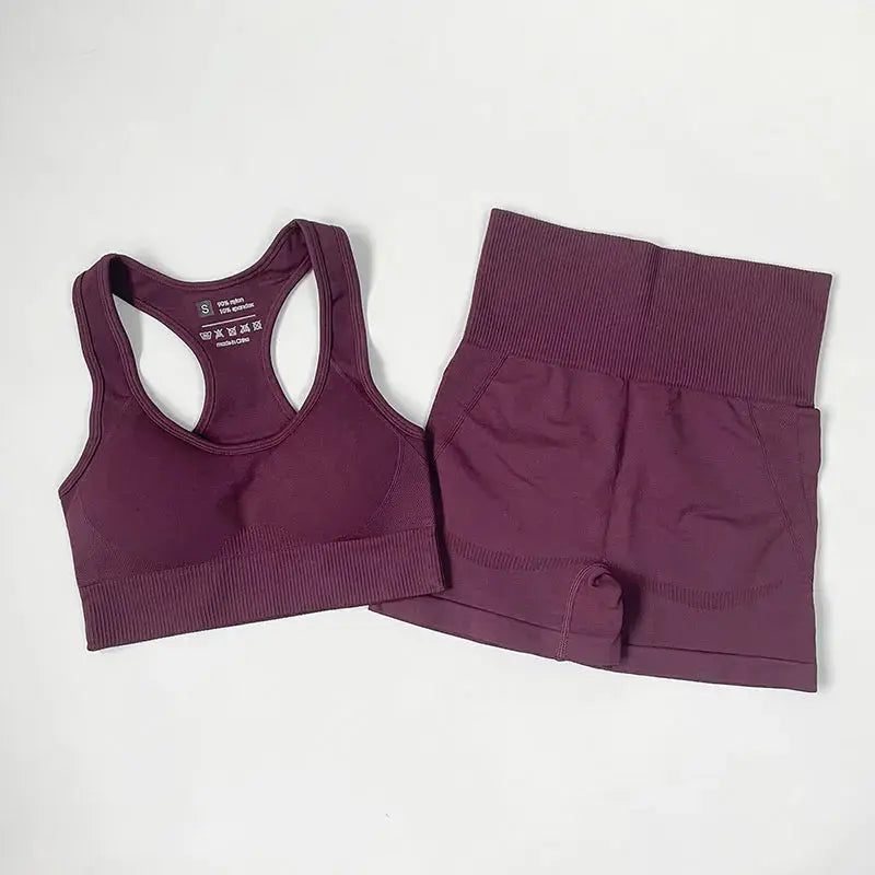 High Waist Elastic Seamless Yoga Wear Women Fitness Clothes Gym Clothing Workout Set Long Sleeve Crop Top Leggings Sports Suit - Mein Shop