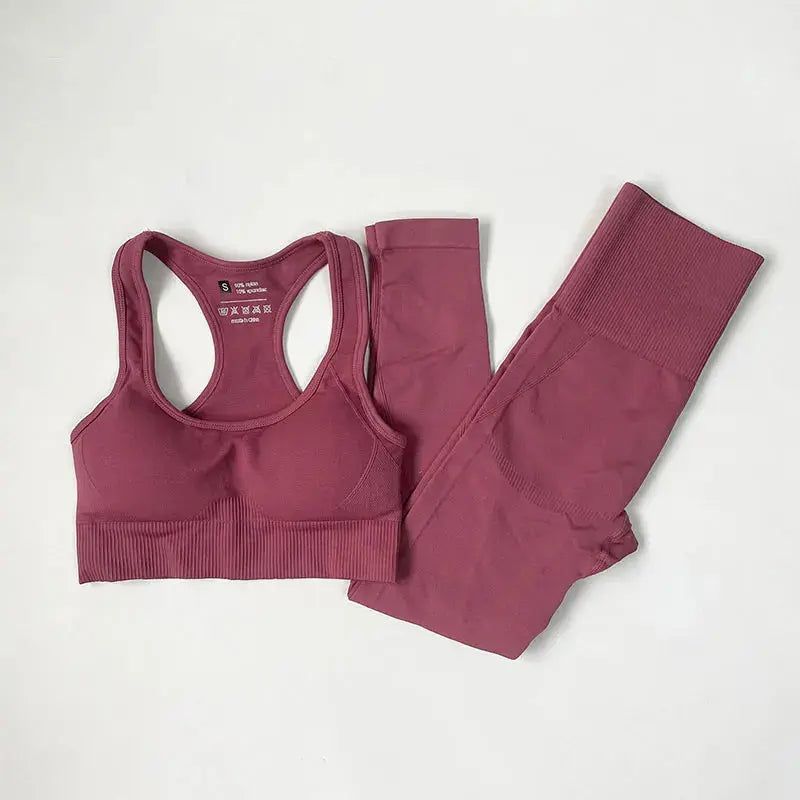 High Waist Elastic Seamless Yoga Wear Women Fitness Clothes Gym Clothing Workout Set Long Sleeve Crop Top Leggings Sports Suit - Mein Shop