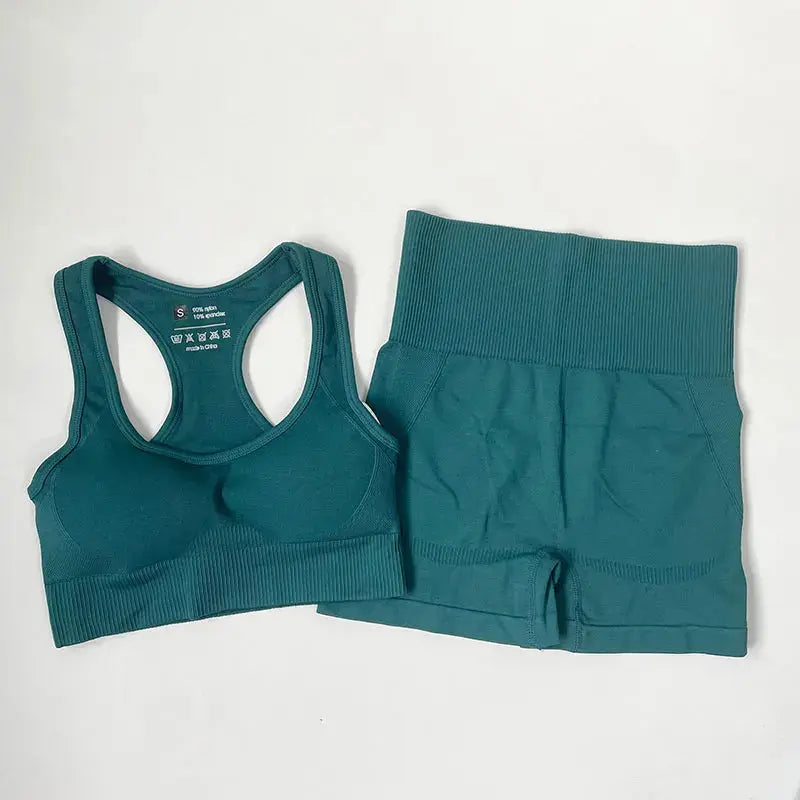 High Waist Elastic Seamless Yoga Wear Women Fitness Clothes Gym Clothing Workout Set Long Sleeve Crop Top Leggings Sports Suit - Mein Shop