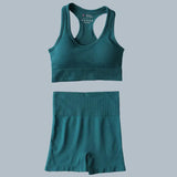 High Waist Elastic Seamless Yoga Wear Women Fitness Clothes Gym Clothing Workout Set Long Sleeve Crop Top Leggings Sports Suit - Mein Shop