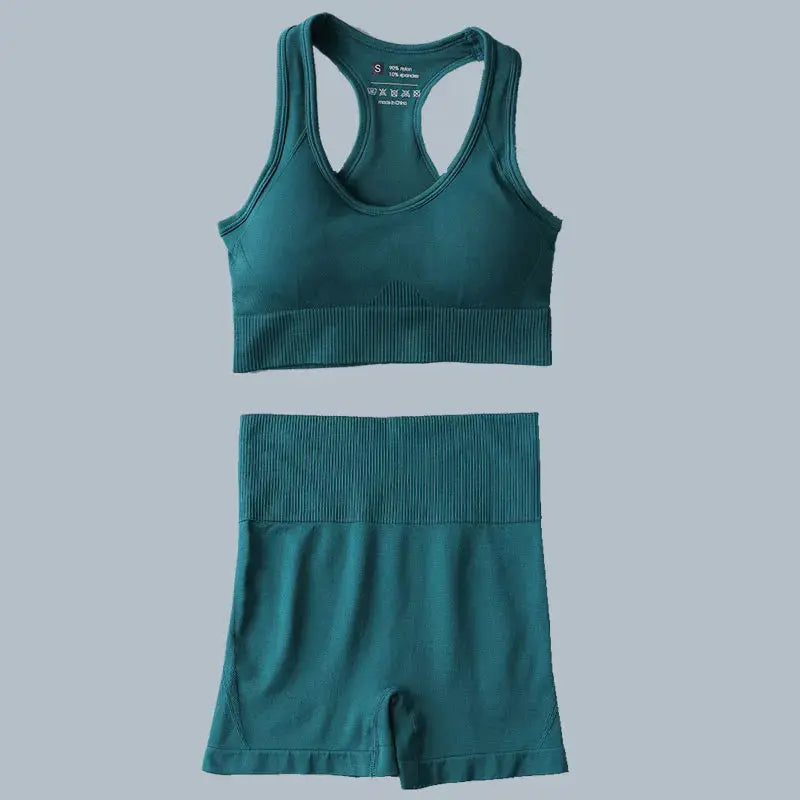 High Waist Elastic Seamless Yoga Wear Women Fitness Clothes Gym Clothing Workout Set Long Sleeve Crop Top Leggings Sports Suit - Mein Shop