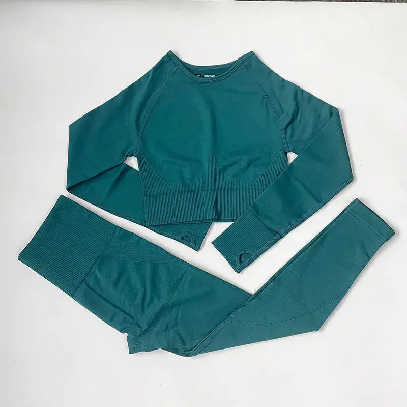 High Waist Elastic Seamless Yoga Wear Women Fitness Clothes Gym Clothing Workout Set Long Sleeve Crop Top Leggings Sports Suit - Mein Shop
