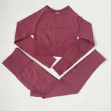 High Waist Elastic Seamless Yoga Wear Women Fitness Clothes Gym Clothing Workout Set Long Sleeve Crop Top Leggings Sports Suit - Mein Shop