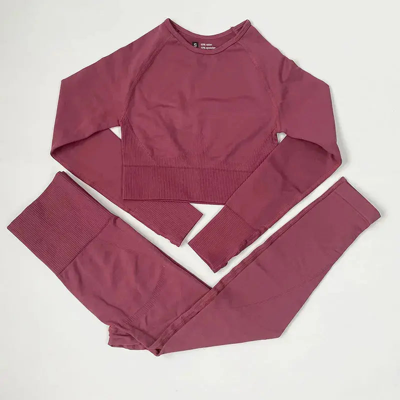 High Waist Elastic Seamless Yoga Wear Women Fitness Clothes Gym Clothing Workout Set Long Sleeve Crop Top Leggings Sports Suit - Mein Shop