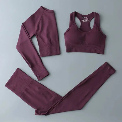 High Waist Elastic Seamless Yoga Wear Women Fitness Clothes Gym Clothing Workout Set Long Sleeve Crop Top Leggings Sports Suit - Mein Shop