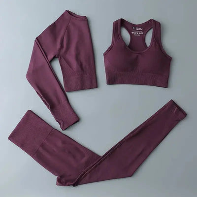 High Waist Elastic Seamless Yoga Wear Women Fitness Clothes Gym Clothing Workout Set Long Sleeve Crop Top Leggings Sports Suit - Mein Shop