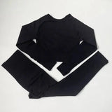 High Waist Elastic Seamless Yoga Wear Women Fitness Clothes Gym Clothing Workout Set Long Sleeve Crop Top Leggings Sports Suit - Mein Shop