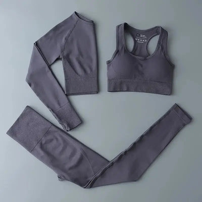 High Waist Elastic Seamless Yoga Wear Women Fitness Clothes Gym Clothing Workout Set Long Sleeve Crop Top Leggings Sports Suit - Mein Shop