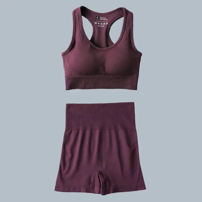 High Waist Elastic Seamless Yoga Wear Women Fitness Clothes Gym Clothing Workout Set Long Sleeve Crop Top Leggings Sports Suit - Mein Shop