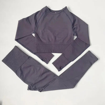 High Waist Elastic Seamless Yoga Wear Women Fitness Clothes Gym Clothing Workout Set Long Sleeve Crop Top Leggings Sports Suit - Mein Shop