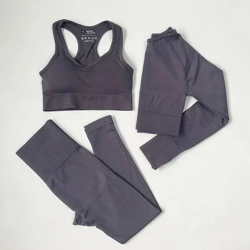 High Waist Elastic Seamless Yoga Wear Women Fitness Clothes Gym Clothing Workout Set Long Sleeve Crop Top Leggings Sports Suit - Mein Shop