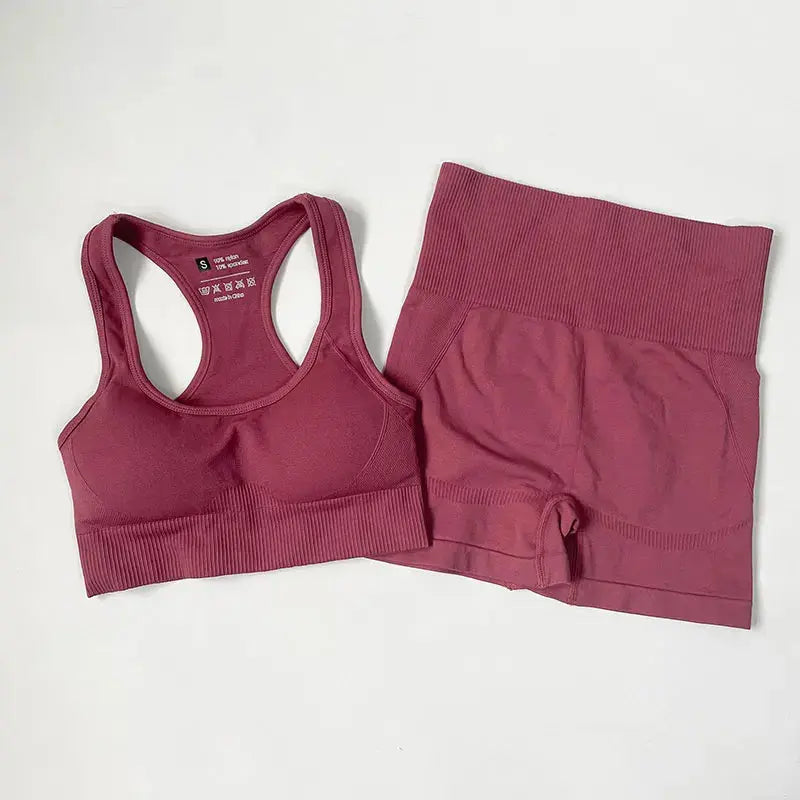 High Waist Elastic Seamless Yoga Wear Women Fitness Clothes Gym Clothing Workout Set Long Sleeve Crop Top Leggings Sports Suit - Mein Shop