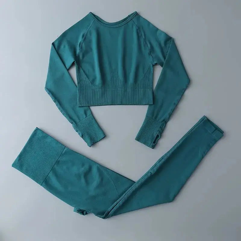 High Waist Elastic Seamless Yoga Wear Women Fitness Clothes Gym Clothing Workout Set Long Sleeve Crop Top Leggings Sports Suit - Mein Shop