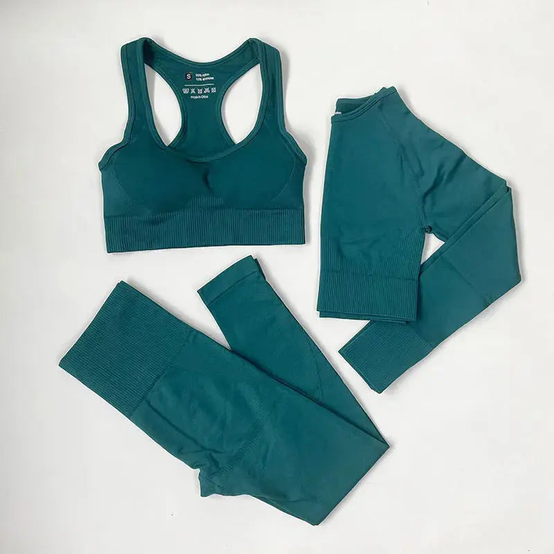 High Waist Elastic Seamless Yoga Wear Women Fitness Clothes Gym Clothing Workout Set Long Sleeve Crop Top Leggings Sports Suit - Mein Shop