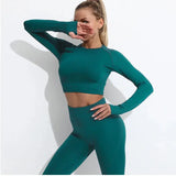 High Waist Elastic Seamless Yoga Wear Women Fitness Clothes Gym Clothing Workout Set Long Sleeve Crop Top Leggings Sports Suit - Mein Shop