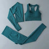 High Waist Elastic Seamless Yoga Wear Women Fitness Clothes Gym Clothing Workout Set Long Sleeve Crop Top Leggings Sports Suit - Mein Shop