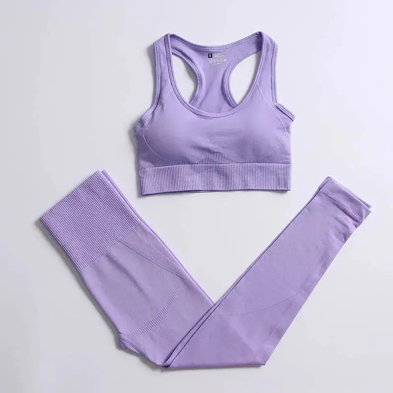 High Waist Elastic Seamless Yoga Wear Women Fitness Clothes Gym Clothing Workout Set Long Sleeve Crop Top Leggings Sports Suit - Mein Shop