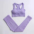 High Waist Elastic Seamless Yoga Wear Women Fitness Clothes Gym Clothing Workout Set Long Sleeve Crop Top Leggings Sports Suit - Mein Shop