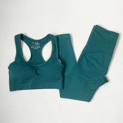 High Waist Elastic Seamless Yoga Wear Women Fitness Clothes Gym Clothing Workout Set Long Sleeve Crop Top Leggings Sports Suit - Mein Shop