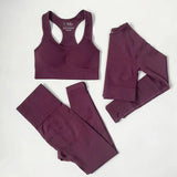 High Waist Elastic Seamless Yoga Wear Women Fitness Clothes Gym Clothing Workout Set Long Sleeve Crop Top Leggings Sports Suit - Mein Shop