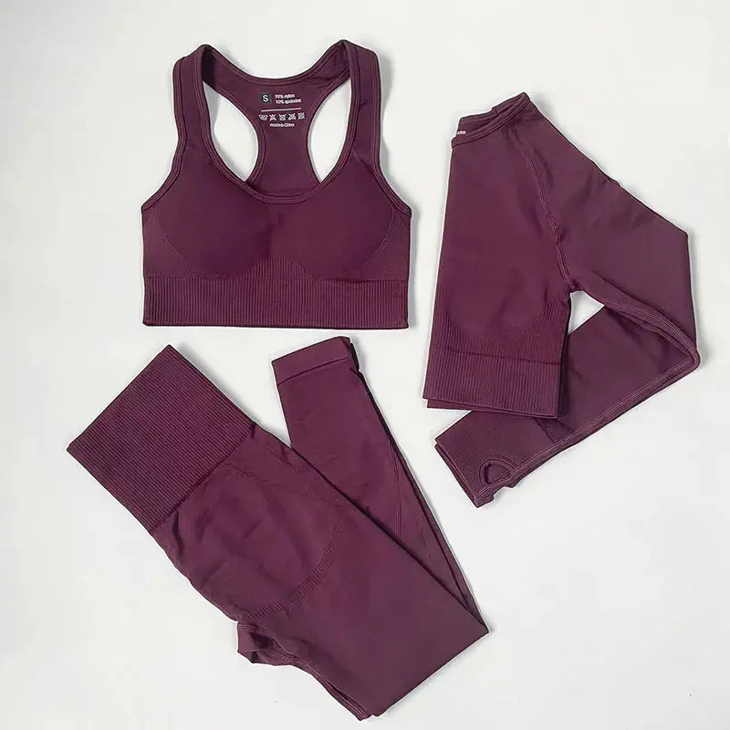 High Waist Elastic Seamless Yoga Wear Women Fitness Clothes Gym Clothing Workout Set Long Sleeve Crop Top Leggings Sports Suit - Mein Shop