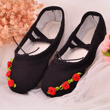 shoes woman 2024 trend Ballet flats Line dance shoes comfortable Ballet core Ballerinas shoes for dancing child girl adult shoe