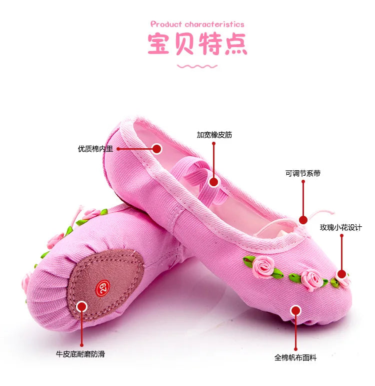 shoes woman 2024 trend Ballet flats Line dance shoes comfortable Ballet core Ballerinas shoes for dancing child girl adult shoe